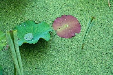 《最后的生还者》重制版无障碍选项曝光 沿用二代